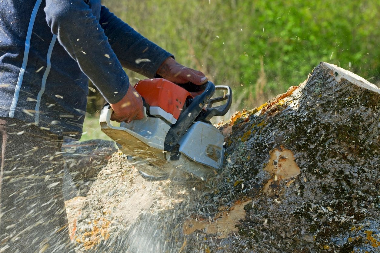 tree pruning chainsaw