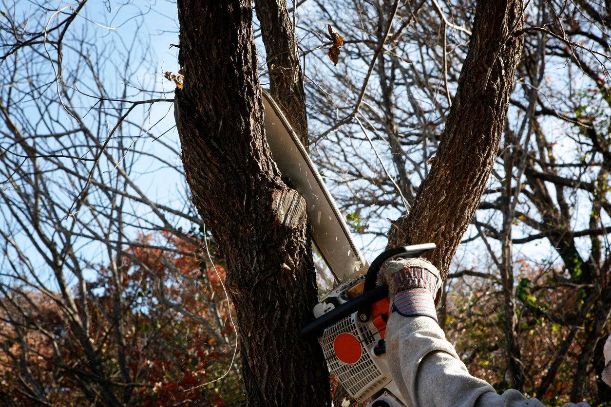 tree pruning chainsaw